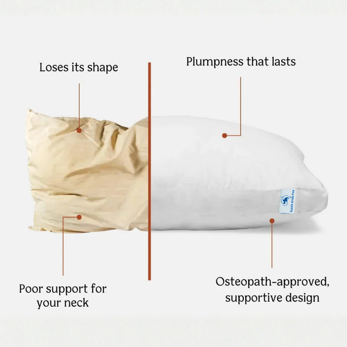 The Dual Pillow